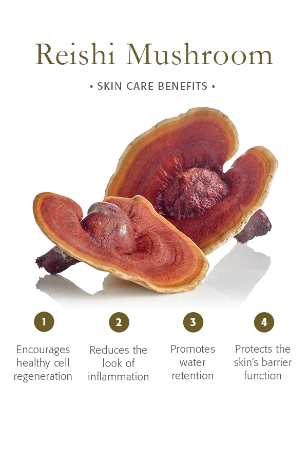 Reishi Skin Care Set